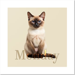 Monday cat (the week is starting...) Posters and Art